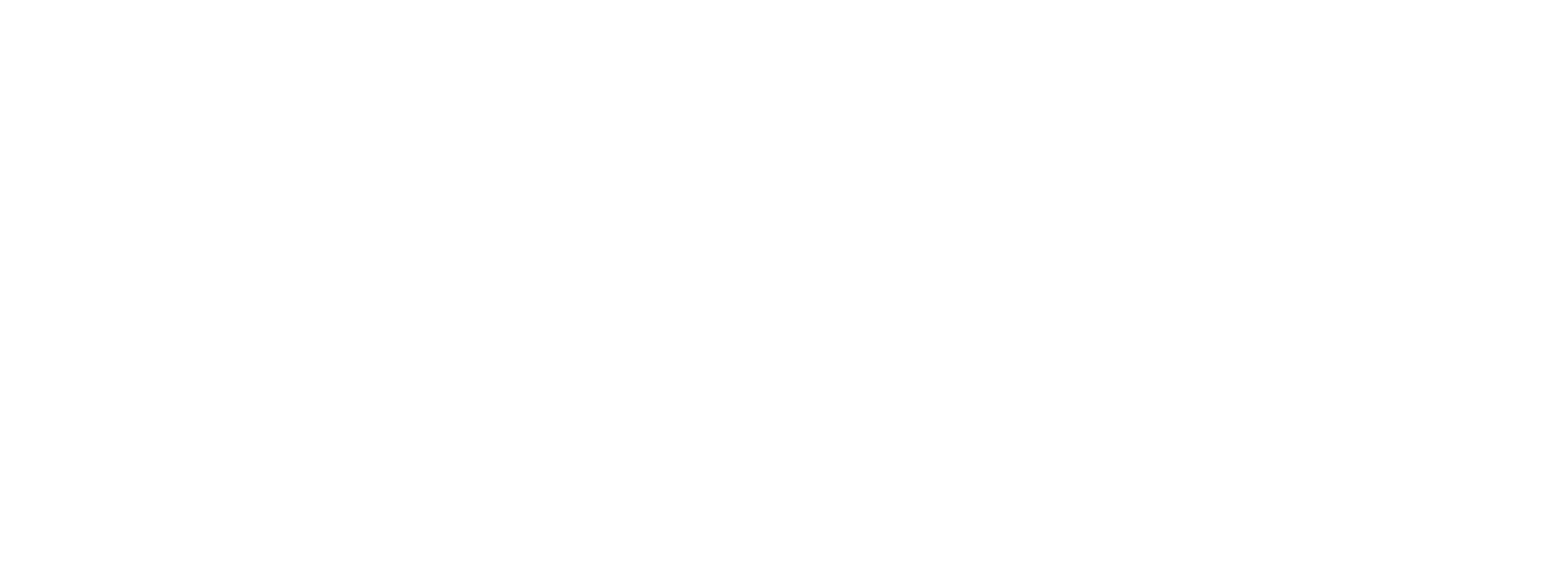 DSB IT Solutions Logo